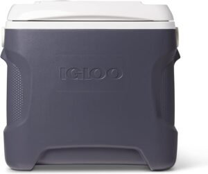 Igloo Electric Cooler